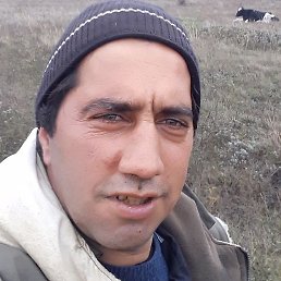 ������, ������, 37 ���