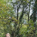 ���� �������, �����, 64 ���� - ��������� 17 ������� 2022 � ������ ���� ����������