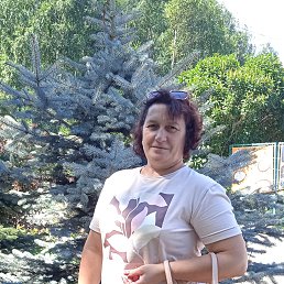 ���� ����, �������, 52 ���� - ��������� 23 ������� 2022