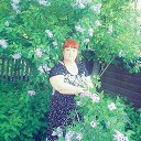 ���� �����, ������������, 66 ��� - ��������� 27 ������� 2022 � ������ ���� ����������