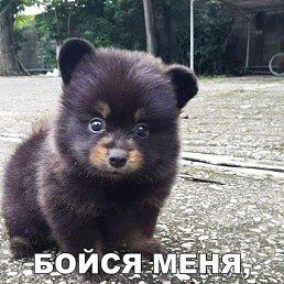 ���� ������, �����������, 43 ���� - ��������� 6 ������� 2022