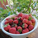 ���� ###�������*****, ������������� - ��������� 19 ���� 2022 � ������ ���� ����������