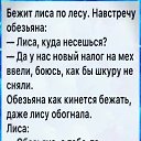 ���� Sasha, ����� - ��������� 19 ������ 2022 � ������ ������ ��������