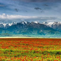 ��������, ���������, 24 ����