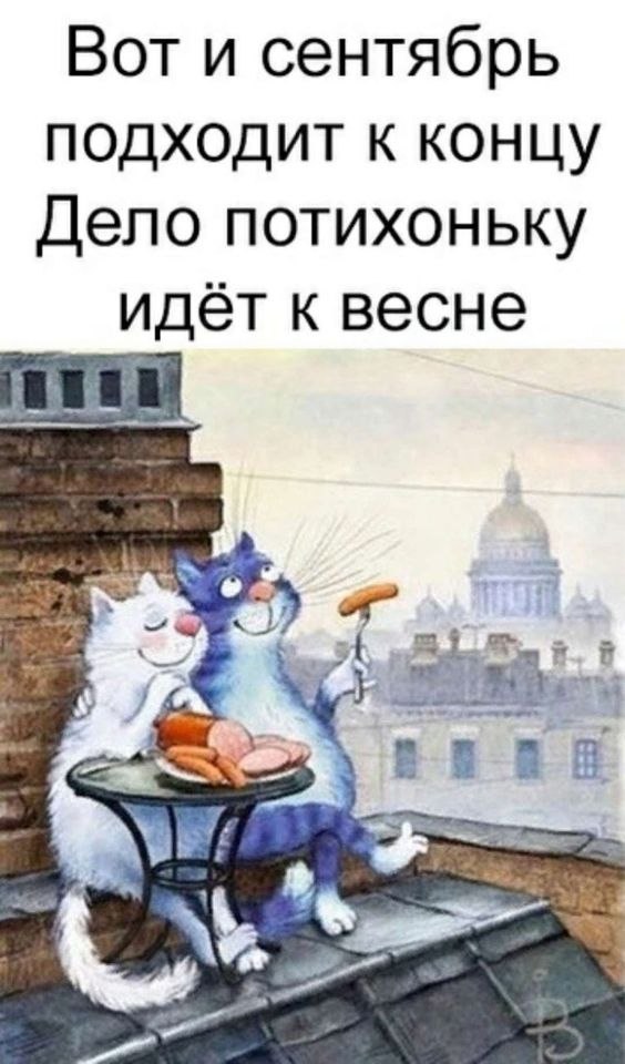   - 28  2022  22:40