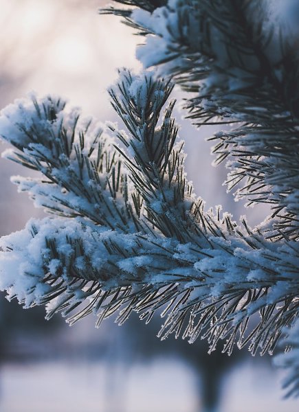  - !    ,     ...     ... - 3