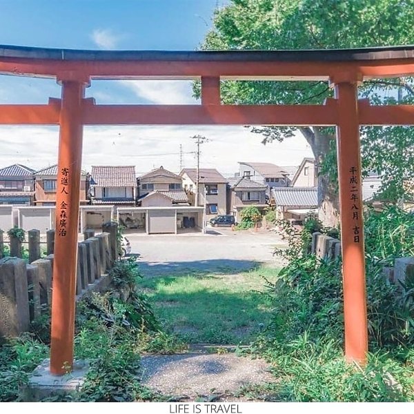 ���������� ������������ ��������� ��������� Akine Coco - 6