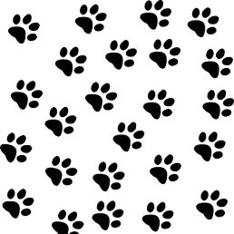 ���������, ������, 42 ����