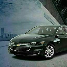 ���� Ulugbek, �������, 30 ��� - ��������� 15 ������� 2023