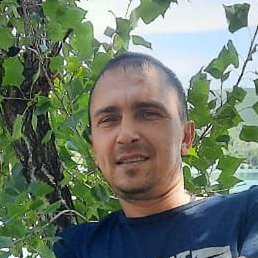 ������, ������, 43 ����