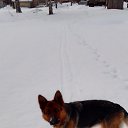 ���� ���� �, ������, 41 ��� - ��������� 22 ������ 2022