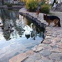 ���� �������, ������, 63 ���� - ��������� 25 ������� 2022