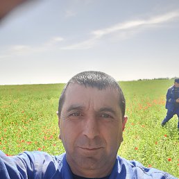 ���� �����, �������, 51 ��� - ��������� 6 ��� 2022