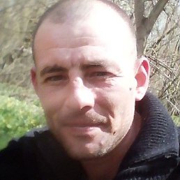 ������, ������, 44 ����