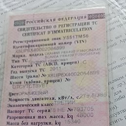 ���� ��������, ������, 51 ��� - ��������� 7 ������� 2022