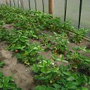 ���� Petr, �����, 75 ��� - ��������� 29 ������� 2022