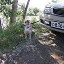 ���� ����., ����� - ��������� 14 ��� 2022 � ������ ���� ����������