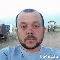 , 43 , 