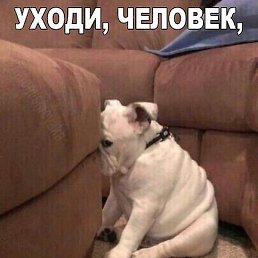 �����, ����������