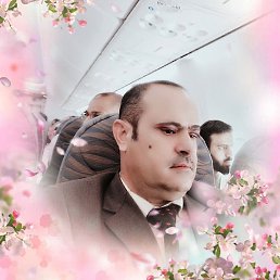 �����, ���������, 44 ����