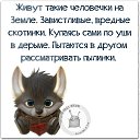 ���� Lucky Elite, ��������, 66 ��� - ��������� 16 ������� 2022 � ������ ������ ��������