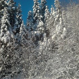 ���� �����, ���������, 59 ��� - ��������� 30 ������ 2023