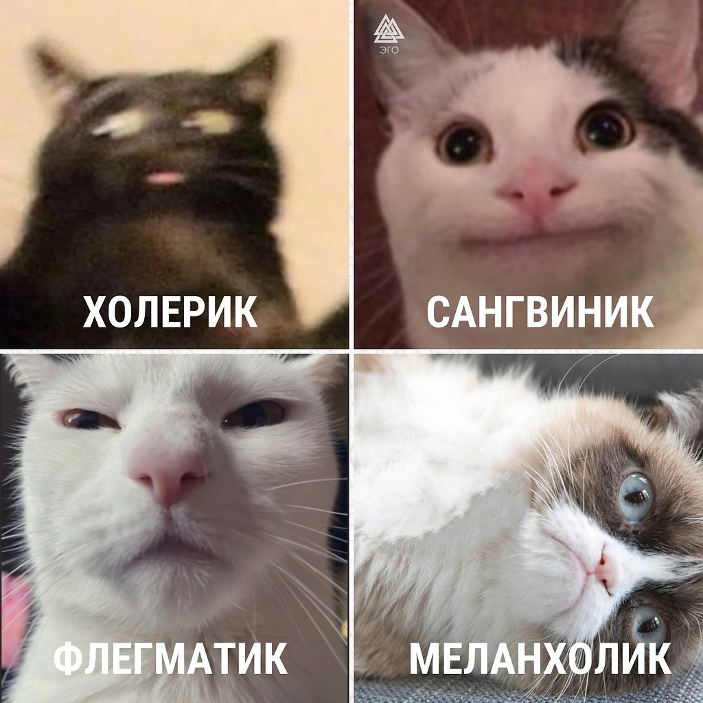  | ,  - 26  2022  15:05