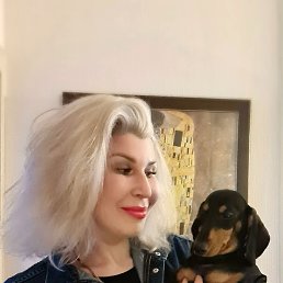 ���� �����, �����-���������, 41 ��� - ��������� 30 ������� 2022