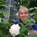 ���� ��������, �����-��������� - ��������� 28 ���� 2022 � ������ ���� ����������