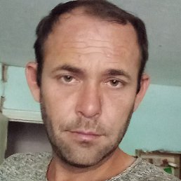 �����, �������, 42 ����