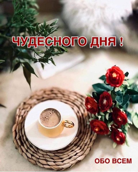 Дарите друг-другу заряд позитива, Ведь жизнь иногда - и горька, и слезлива. И в самую лютую бурю иль ...
