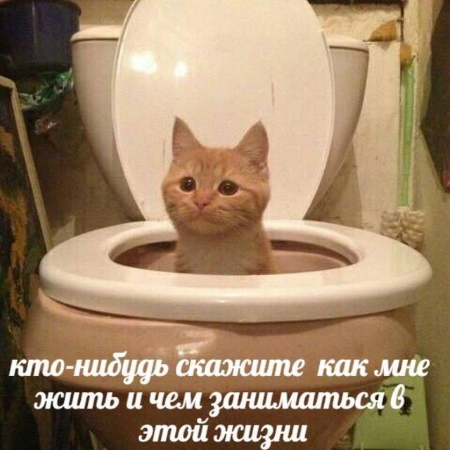 ��� �������� �������� - 21 �������� 2022 � 18:24