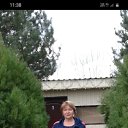 ���� ������, ���������, 62 ���� - ��������� 23 ���� 2022