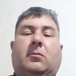 �����, �������, 52 ����