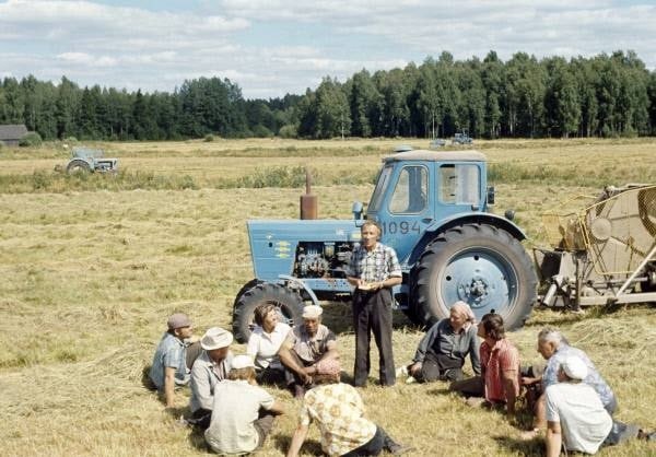 МТЗ-50.Автор книги "Утверждение хлеба", полевод колхоза "Путь Ленина" Янис ...