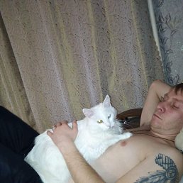 ������, ���������, 37 ���