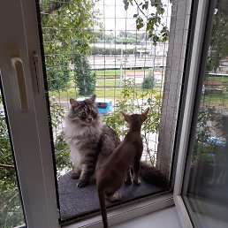 ���� �������, ������, 63 ���� - ��������� 18 ������� 2022