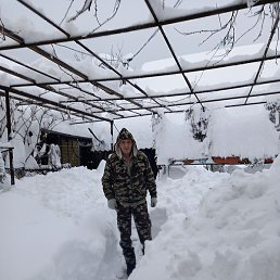 ���������, ���������, 65 ���