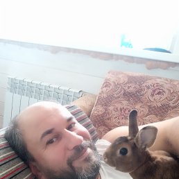 ���� �������, �����, 44 ���� - ��������� 25 ���� 2022