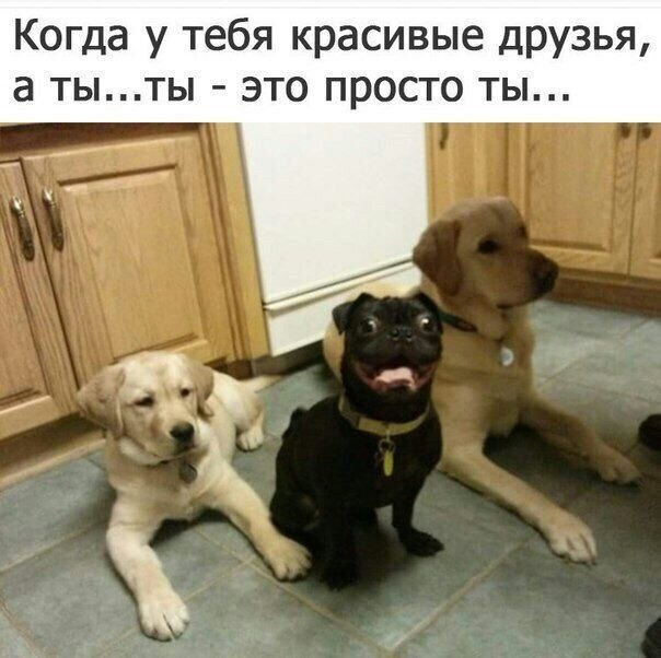    - 7  2022  04:16