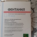 ���� ��������, ���������, 53 ���� - ��������� 21 ������� 2022 � ������ ���� ����������