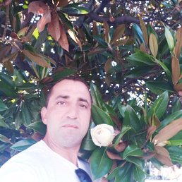 ���� ������, ����, 37 ��� - ��������� 14 ������� 2022