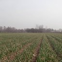 ���� ���, ������, 35 ��� - ��������� 15 ������� 2023