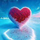 ���� �����, �����, 37 ��� - ��������� 2 ������� 2023 � ������ ���� ����������