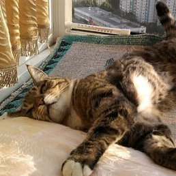 ���� ���������, ������, 67 ��� - ��������� 13 ������ 2023