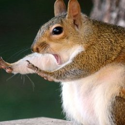 ���� �������, ������������, 49 ��� - ��������� 19 ������� 2022