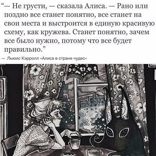 ������� ���� ���������� - 11 ������ 2022 � 08:21