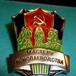 ���� Dimon, ����, 57 ��� - ��������� 14 ������� 2022