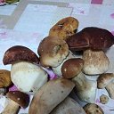 ���� �������, ������, 63 ���� - ��������� 25 ������� 2022 � ������ ���� ����������