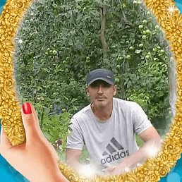 ���� ����������, ������, 54 ���� - ��������� 2 ������ 2022